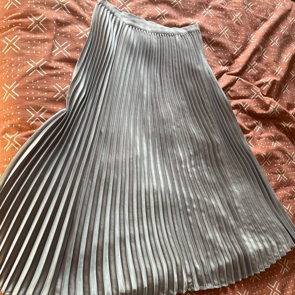 Aritzia pleated midi skirt
